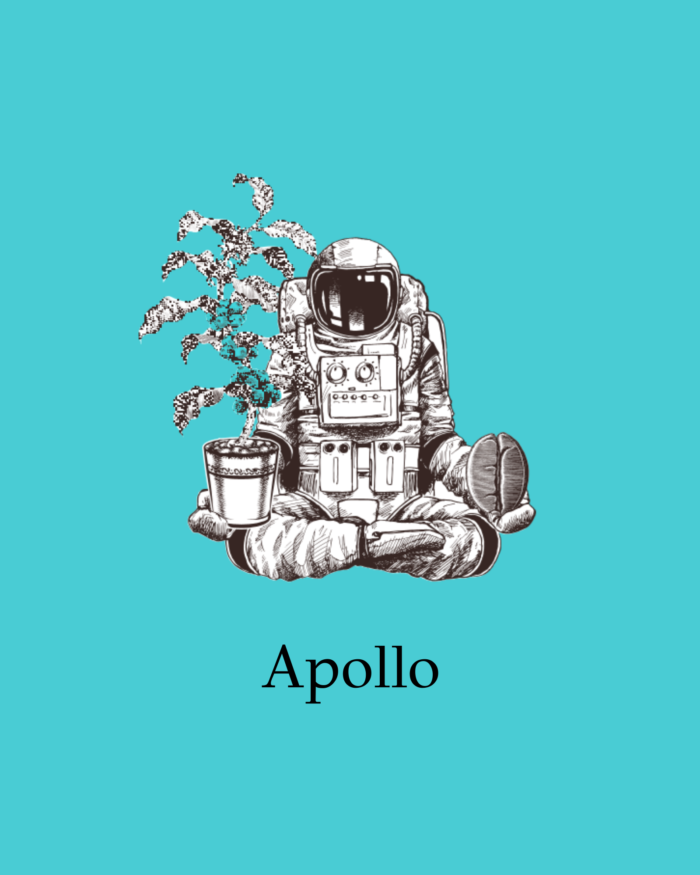 Apollo