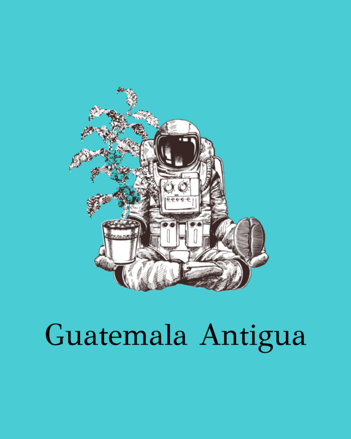 Guatemala Antigua