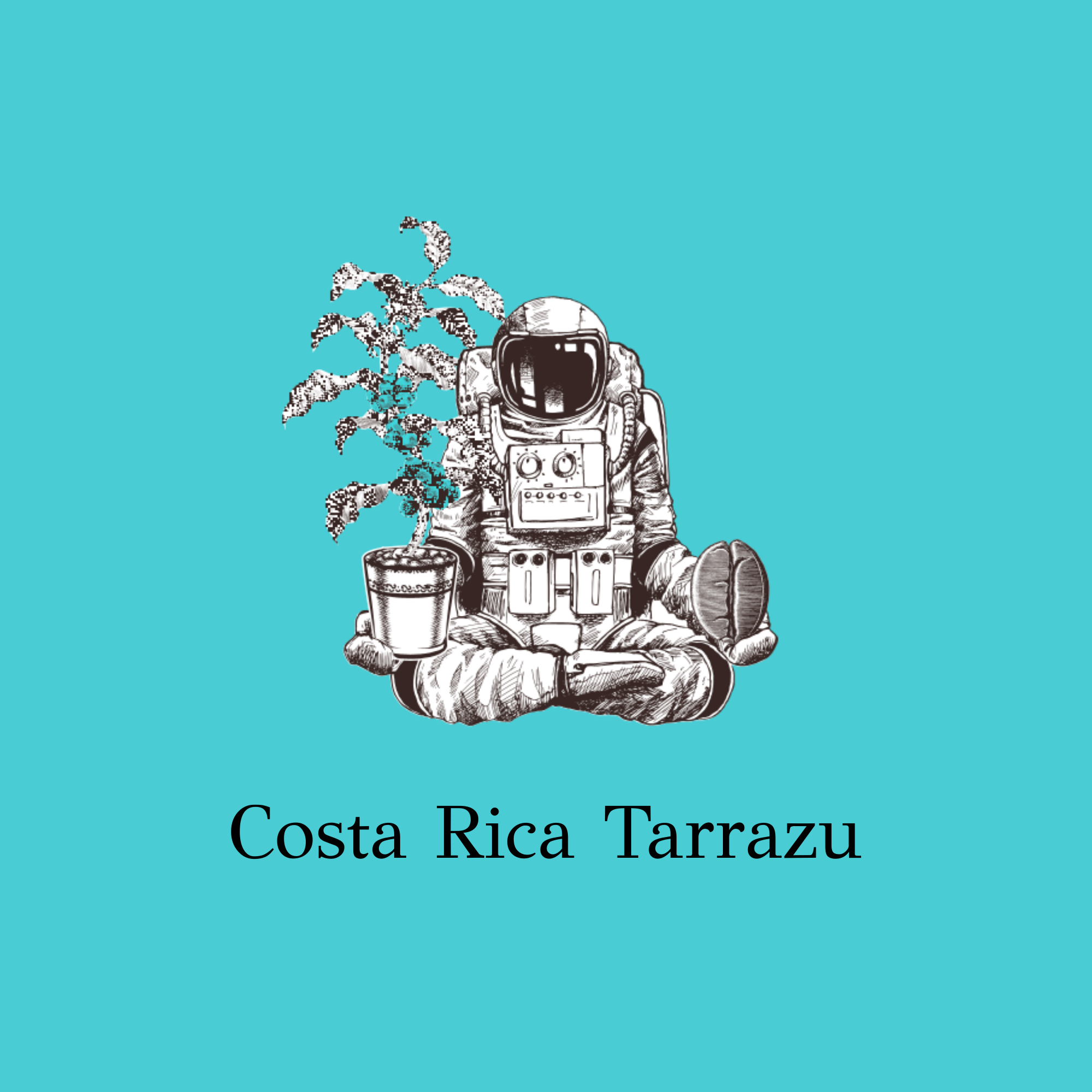 Costa Rica Tarrazu