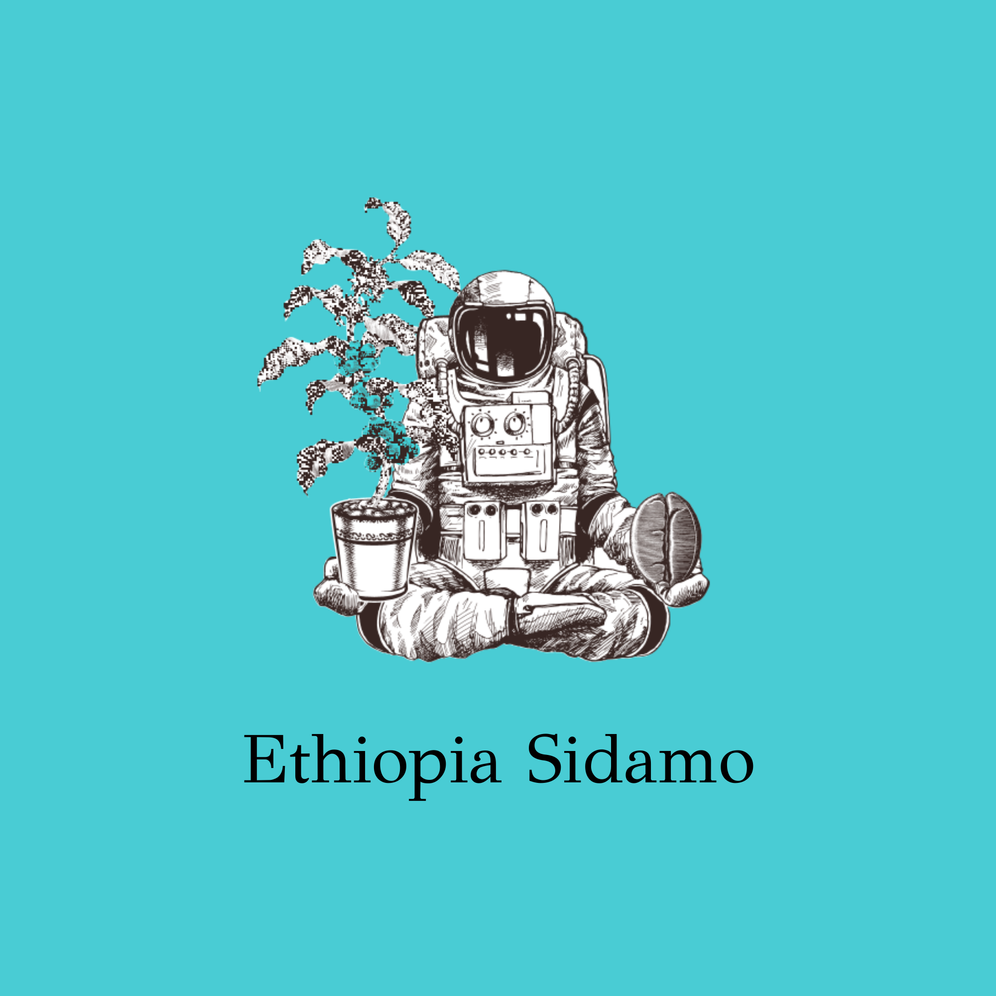 Ethiopia Sidamo